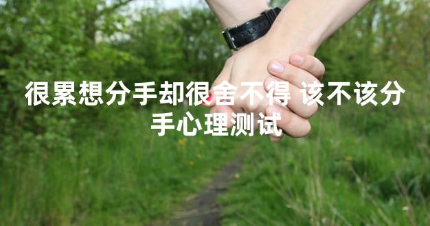 很累想分手却很舍不得 该不该分手心理测试